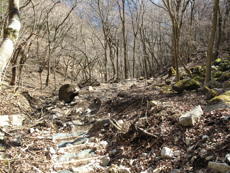 20160218hike (529)